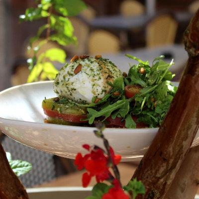 Salade et Tapas, O'Temple bar à Montauban